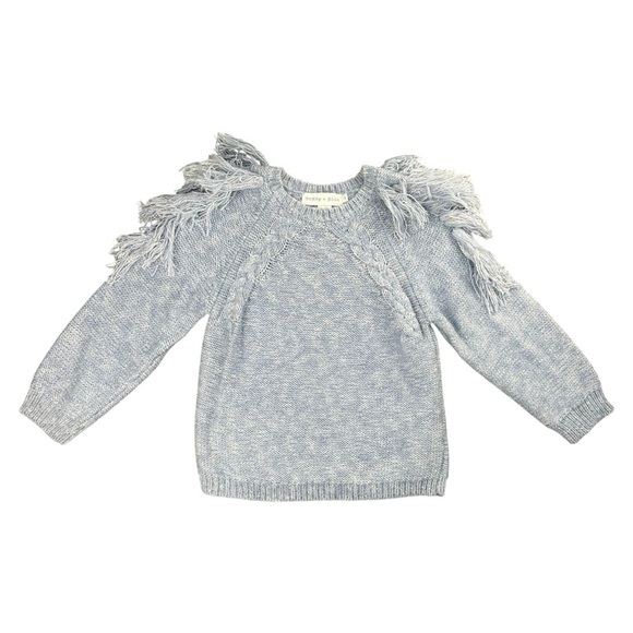 Poppy + Pima Anthropologie Fringe Shoulder Palms Sweater In Baby Blue In Size S - Picture 1 of 8